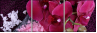 59389806