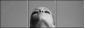 5977231