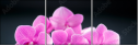 59897994