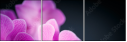 59923716