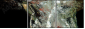 60316396