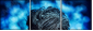 60327574
