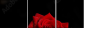 60429320