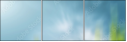 60450374