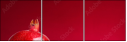 61560577