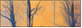 61864050
