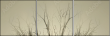 62822000