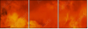 63199579