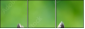 63805438