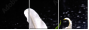 64347544
