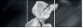 64479255