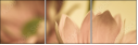 65771321