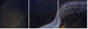 67261784