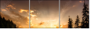 67616317