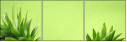 68208403
