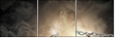68459812