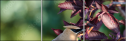 68702565