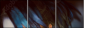 68796716