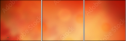 68917017