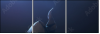 68921322