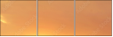 69150407