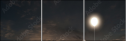 69184164