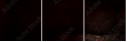 69305872