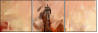 69563598