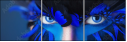 69641172