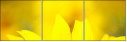 70553705