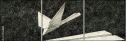 70764881
