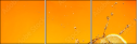 71566092