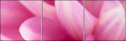 71579272