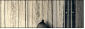 75167527