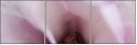 75397074