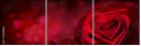 75608886