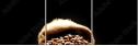 75743507