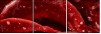 75798905