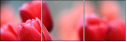 76096373