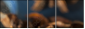 78130865