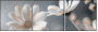 877089715