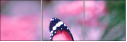 95266681