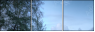 9994394