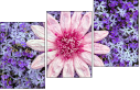 100402580