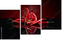 128050232
