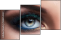 138254237