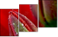 15487800