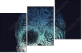 164648563