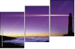 16699558