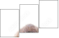 17243414